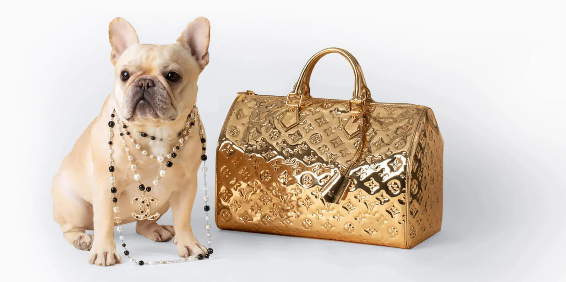 Your Gateway to Authenticated Luxury